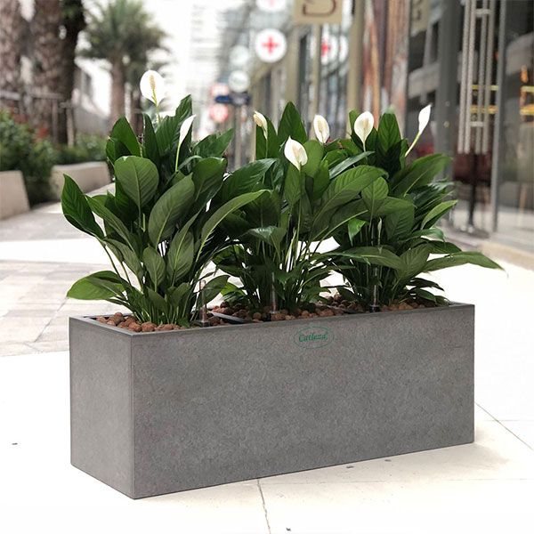 Fiber Planter Rectangular Natural
