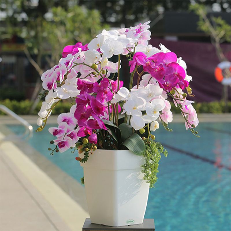 Square Planter