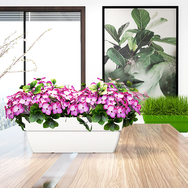 Rectangular Painted Planter